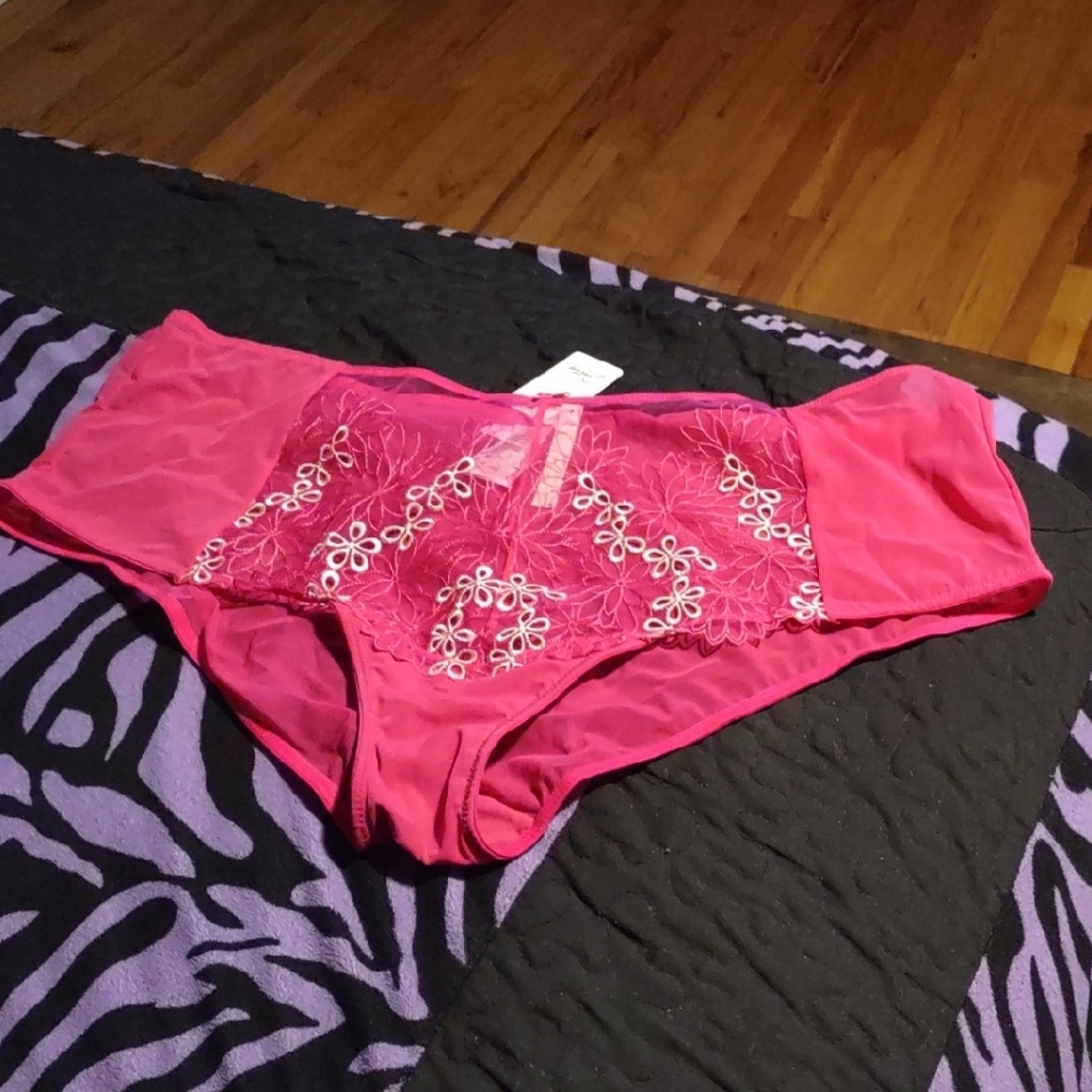 Hot Pink Panties NWT Sz 22